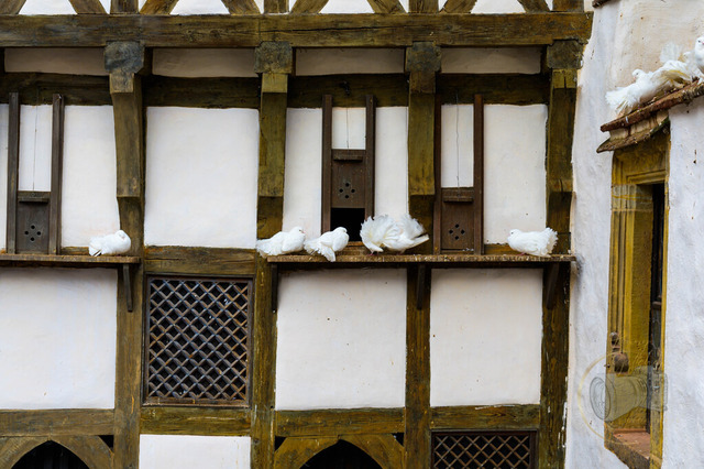 _DSC1832 | Shop für Prints Landschaftsfotografie Sächsische Schweiz Naturfotografie in Thüringen Fotos vom Findlingspark Nochten Kloster Sankt Marienstern Bilder Festung Königstein PanoramaRhododendronpark Kromlau FotogalerSchleswig-Holstein Küstenlandschaften