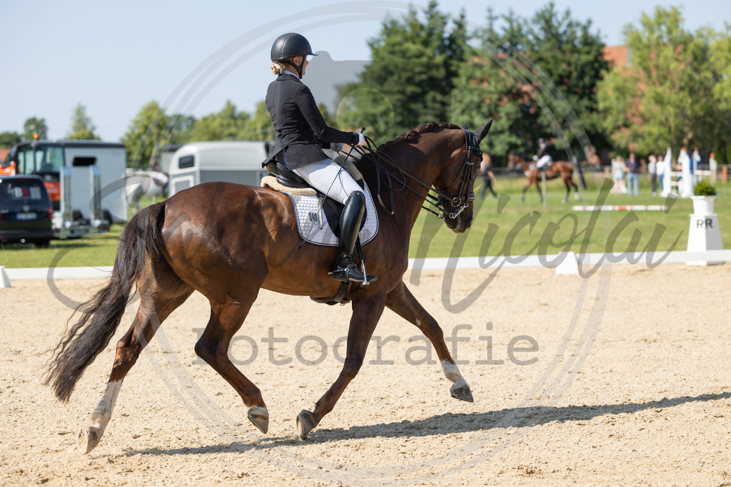 994A3172 | sabrinanicolaifotografie - Realisiert mit Pictrs.com