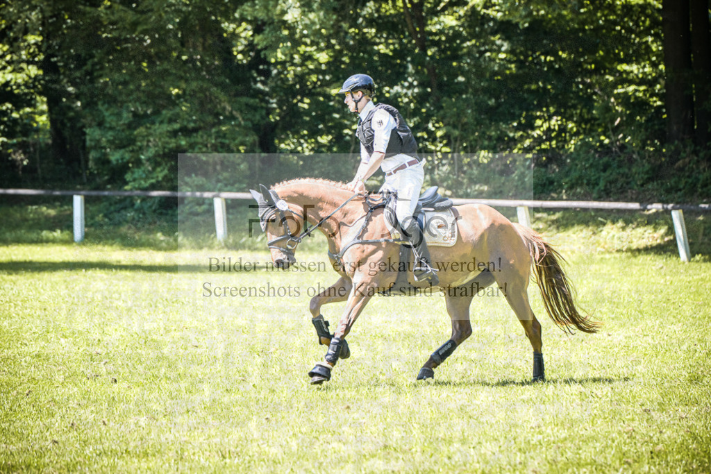 DOS_2482 | Entdecke hochwertige Reitturnierfotos von Foto Oger. Professionell, emotional und authentisch – jetzt Lieblingsmomente im Shop bestellen.Deutschlandweite Turnierfotografie. - Realisiert mit Pictrs.com