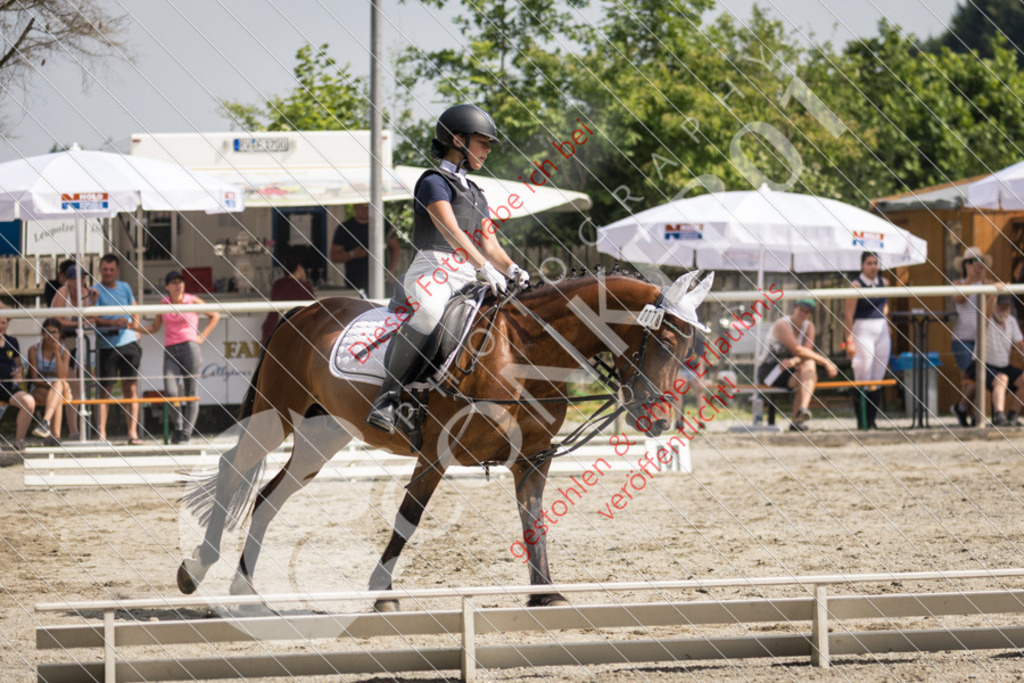 IMG_5095 | Sport-, Event- und Tierfotos in Profiqualität. Einfach auswählen, bestellen und herunterladen. Dein Moment – perfekt festgehalten.