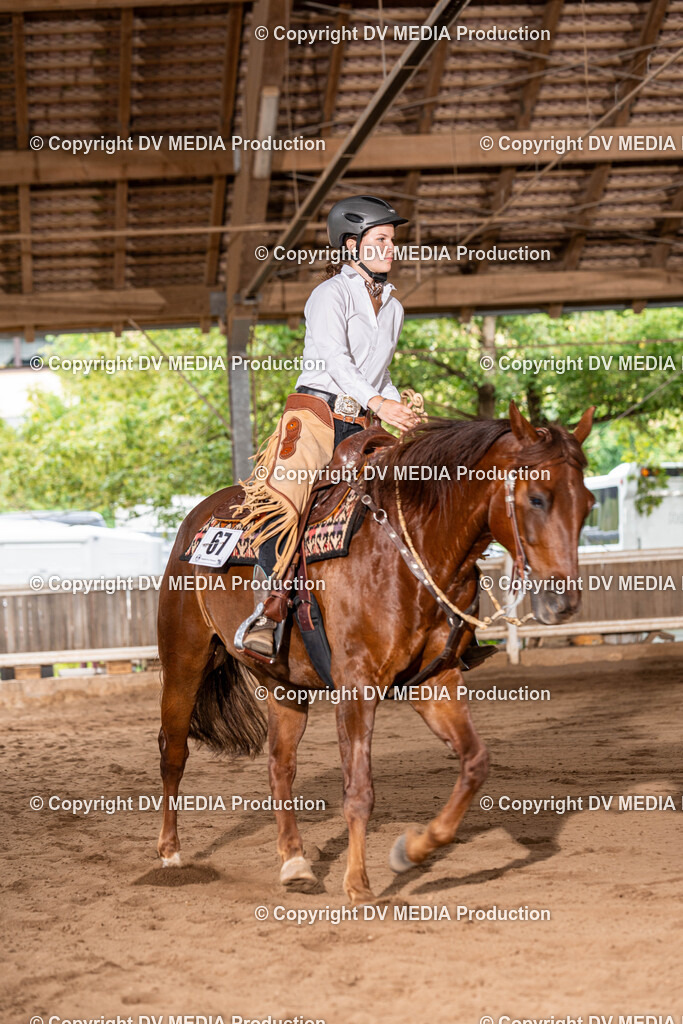 Erbach Tag 1-866 | dv-media-shop - Realisiert mit Pictrs.com