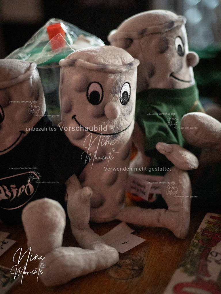 _16A2990-1 | Einzigartige Fotos von Hunden & Menschen –Actionfotos, Portraits, Vereinsaufnahmen & Paarshootings – authentisch, lebendig & mit Herz.