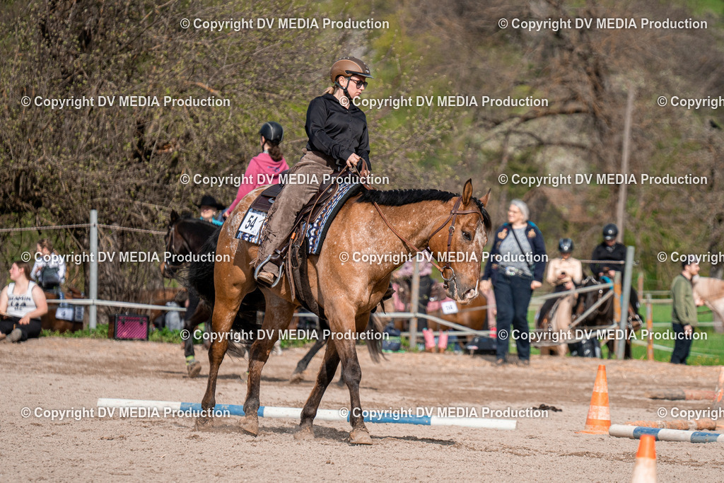 BAL02773 | dv-media-shop - Realisiert mit Pictrs.com