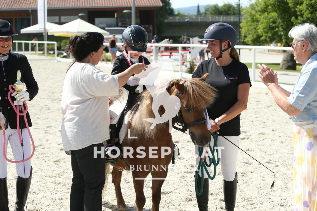 DL2Q0637 | Willkommen bei Brunnmayr - Design & Fotografie – Ihrem Spezialisten für Reitturniere und Pferdeveranstaltungen in Oberösterreich, Salzburg und Bayern! Seit über 17 Jahren sind wir leidenschaftlich dabei.