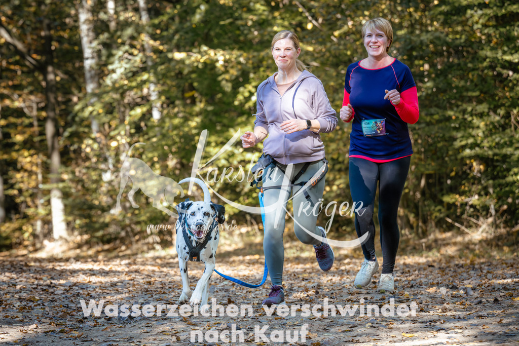 1213_ZZ94549 | kk-dogfotos