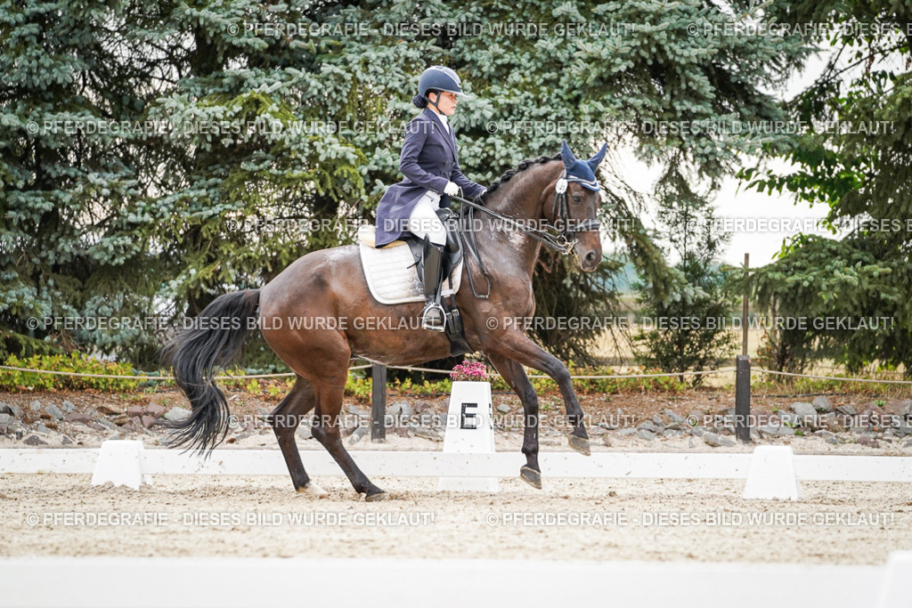 DSC07682 | Pferdegrafie