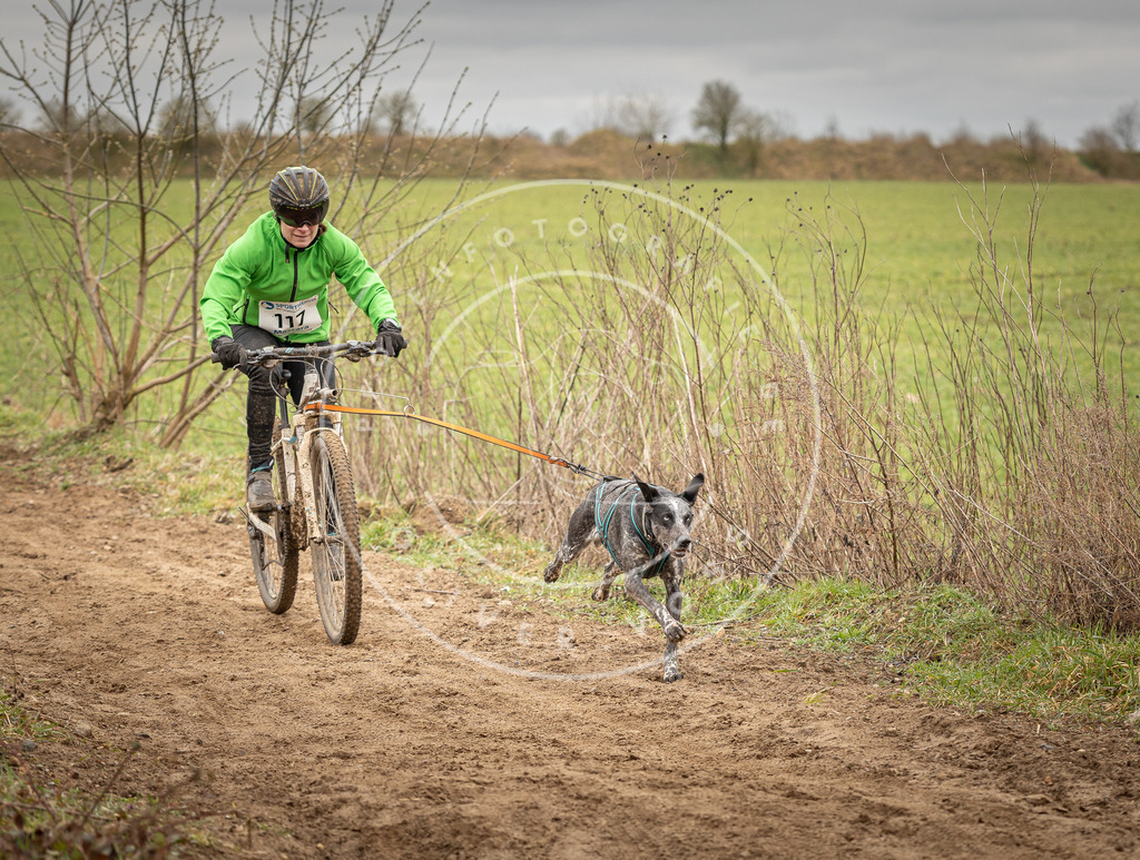 DV3A0828 | Hundefotografie, Tierfotograf, Pfotenfotografie, Fotoshooting Hund, Hunde Portrait, Hundesport, Hundeportraits, Heideshooting, Hunde, Sportfotograf, Hundefotograf, Turnierhundsport, THS,  - Realisiert mit Pictrs.com