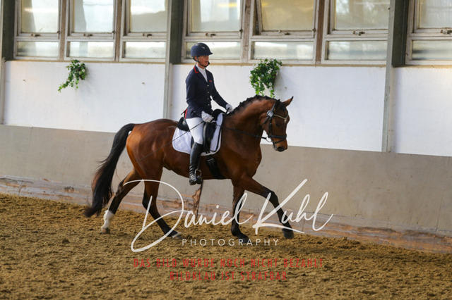 IMG_2264 | Turniersportfotografie; Pferdefotografie; Dressurfotografie