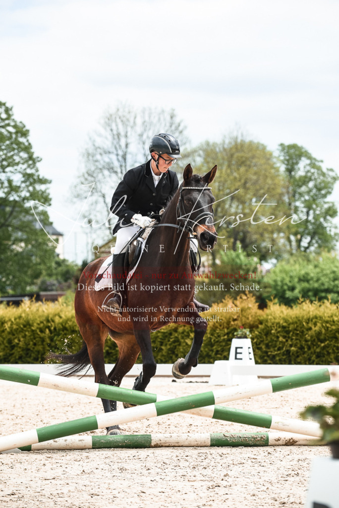 20230518_JK-Röhrsdorf-10-609 | Pferde- und Turnierfotografie in Westsachsen. Pferdeportraits, Auftragszeichnungen und intuitive Kunst.