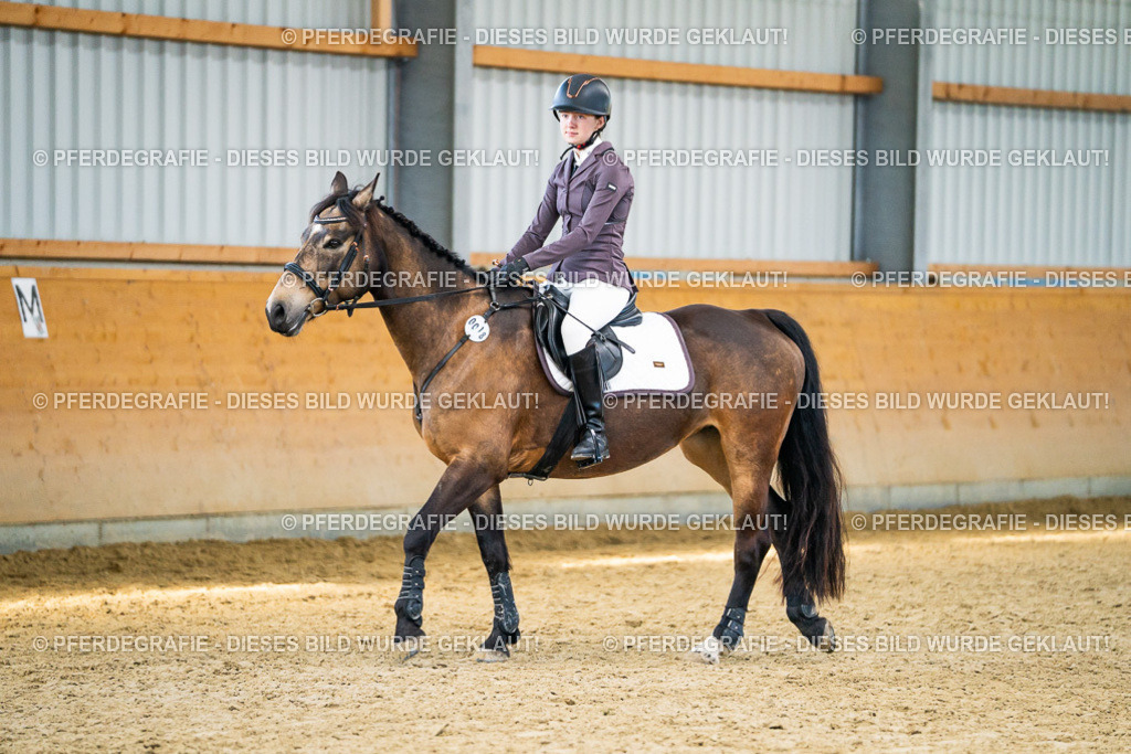 DSC01124 | Pferdegrafie