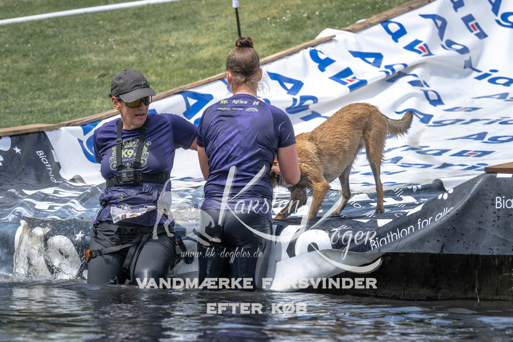 1214_ZZ96174 | kk-dogfotos