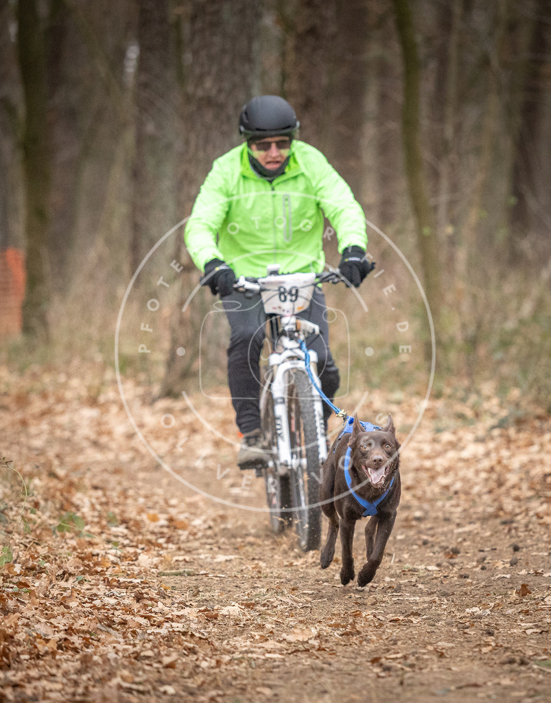 Pfotenfotografie_DV3A6494 | Hundefotografie, Tierfotograf, Pfotenfotografie, Fotoshooting Hund, Hunde Portrait, Hundesport, Hundeportraits, Heideshooting, Hunde, Sportfotograf, Hundefotograf, Turnierhundsport, THS,  - Realisiert mit Pictrs.com