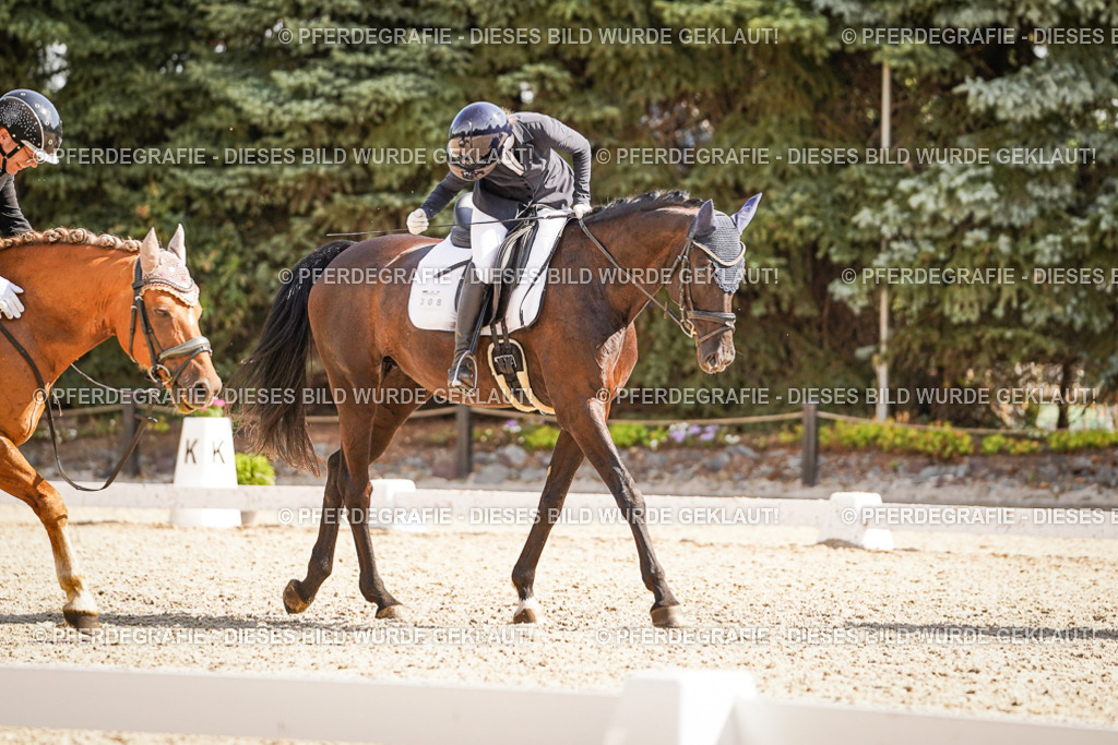 DSC00827 | Pferdegrafie