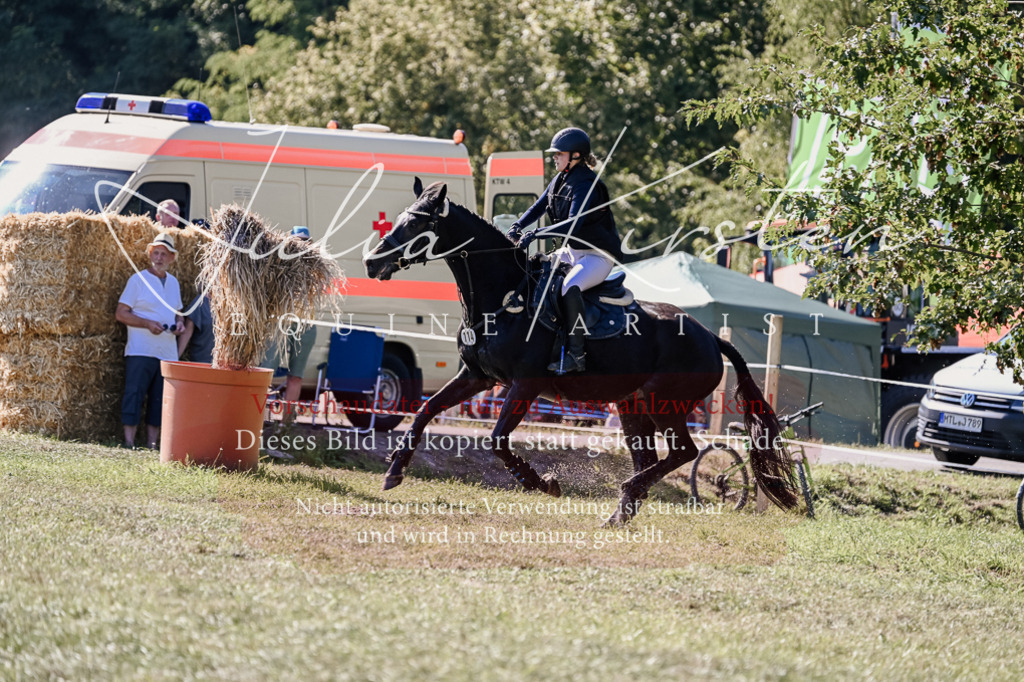 DSC_3261 | Pferde- und Turnierfotografie in Westsachsen. Pferdeportraits, Auftragszeichnungen und intuitive Kunst.