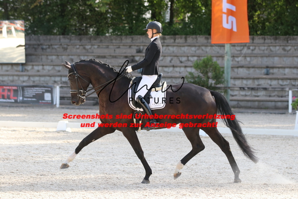 IMG_5773 | lmwpictures - Realisiert mit Pictrs.com