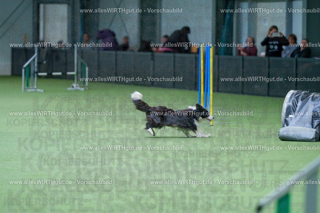 @allesWIRTHgut_Tierfotografie - www.allesWIRTHgut.de - 2604251118-7R500171 | Professionelle Tierfotografie in Mönchengladbach von Daniel Wirth (allesWIRTHgut). Liebevolle & natürliche Bilder von Hunden & Katzen für unvergessliche Erinnerungen.