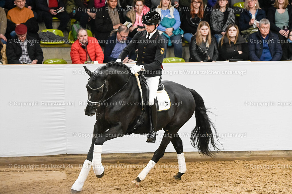 20260307_Hengstvorstellung-Marbach_0245 | equistock