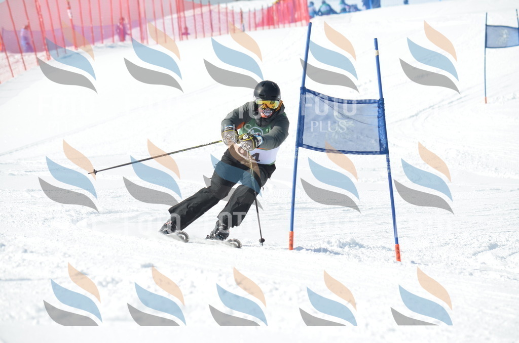 D9090 | holidayphoto