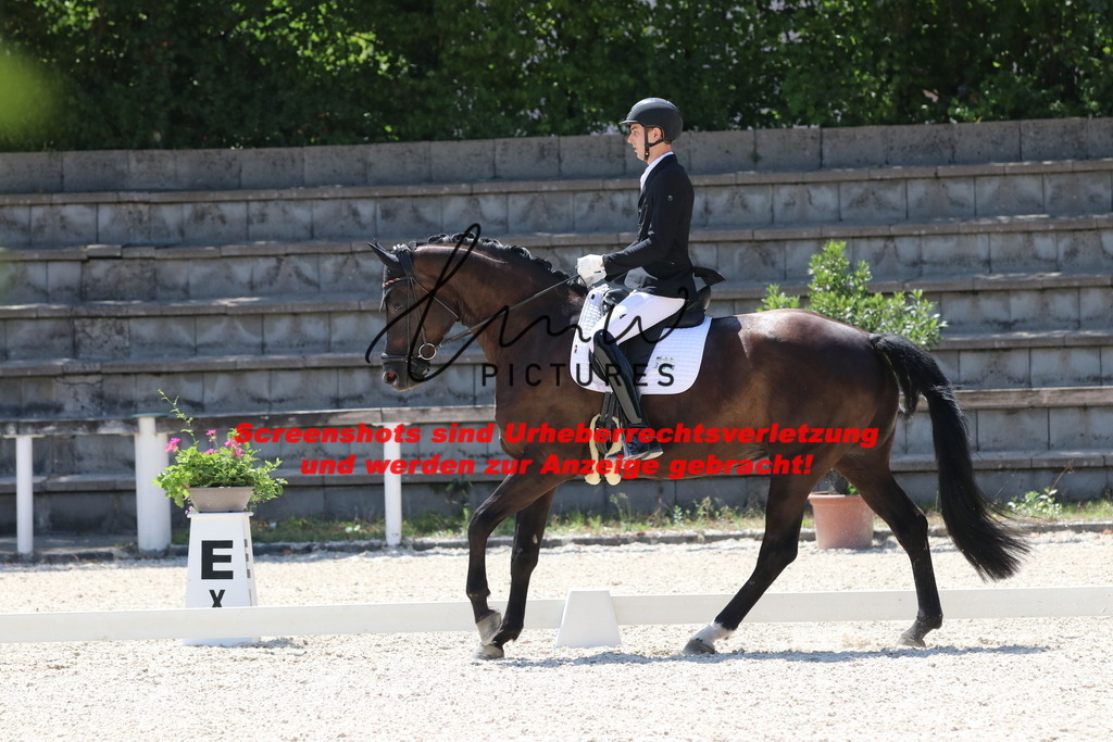 IMG_5062 | lmwpictures - Realisiert mit Pictrs.com