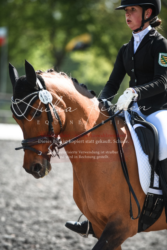 DSC_8993 | Pferde- und Turnierfotografie in Westsachsen. Pferdeportraits, Auftragszeichnungen und intuitive Kunst.