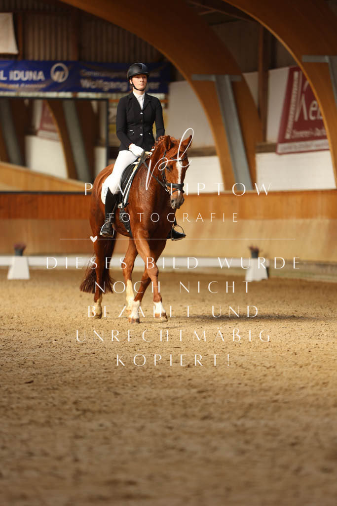 IMGM4072 | pl-fotografie