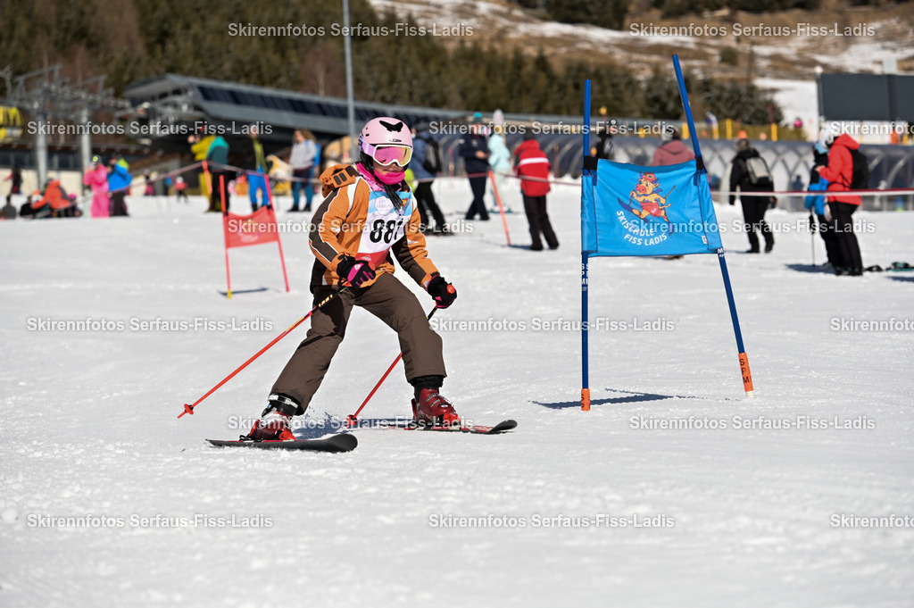 SRF_13.02.2026_0588 | SRF_13.02.2026_0588 - Realisiert mit Pictrs.com