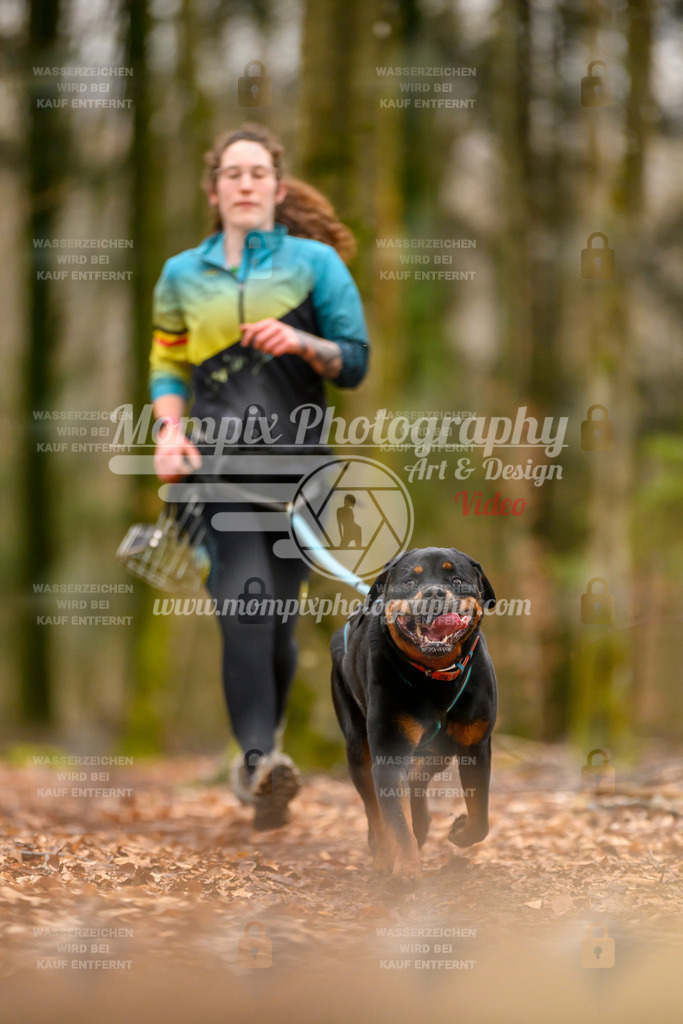 MompixPhotography_Habay2024_SA_Fun-75 | PayLife
