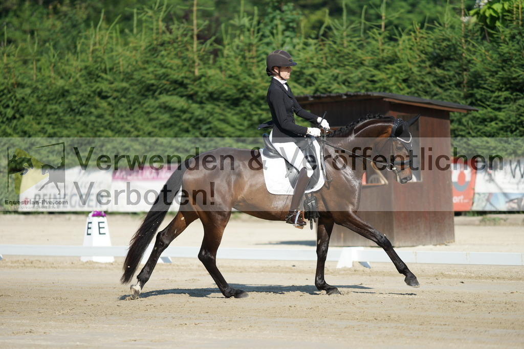 DSC02827 | equestrian-live-com