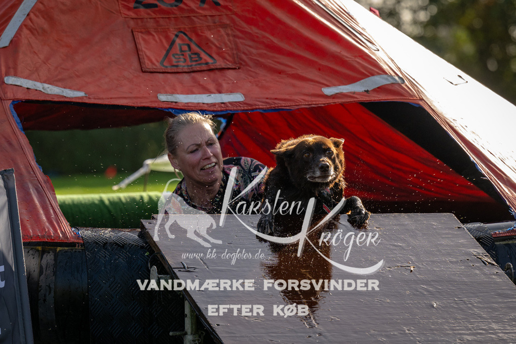 1114-91883 | kk-dogfotos