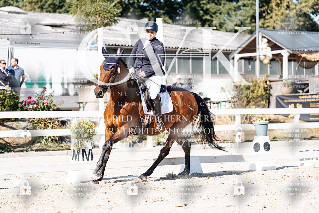 CK907999 | Turnierfotografie Pferdefotografie Trier Rheinland-Pfalz Pferdesport Reitsport Tierfotografie Sportfotografie Pferdevideo Pferdevideografie Equestrianvideography equestrianphotography  - Realisiert mit Pictrs.com