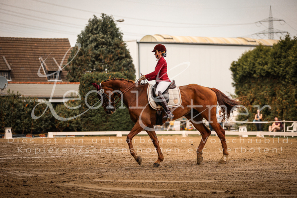 16.SaDrM00091 | Leoni Ertmer Photography - Realisiert mit Pictrs.com