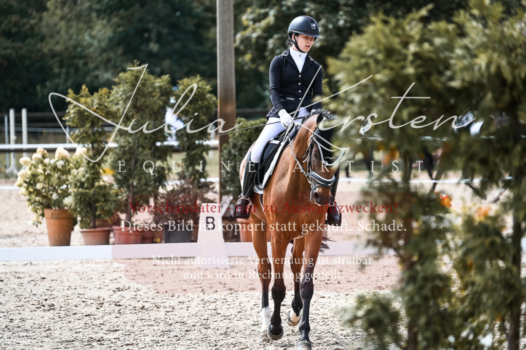 DSC_5134 | Pferde- und Turnierfotografie in Westsachsen. Pferdeportraits, Auftragszeichnungen und intuitive Kunst.