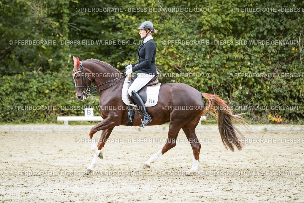 DSC06882 | Pferdegrafie