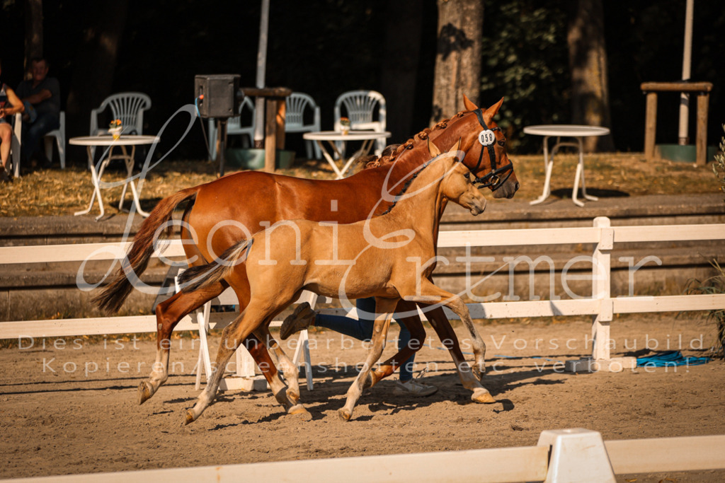 11.DoRP00144 | Leoni Ertmer Photography - Realisiert mit Pictrs.com