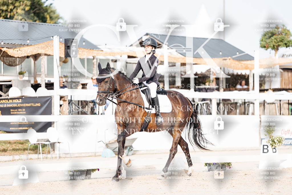 CK903966 | Turnierfotografie Pferdefotografie Trier Rheinland-Pfalz Pferdesport Reitsport Tierfotografie Sportfotografie Pferdevideo Pferdevideografie Equestrianvideography equestrianphotography  - Realisiert mit Pictrs.com