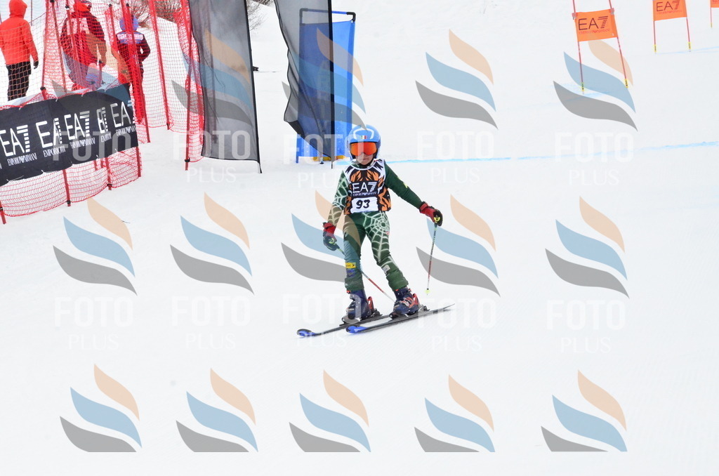 _ELE3506 | holidayphoto