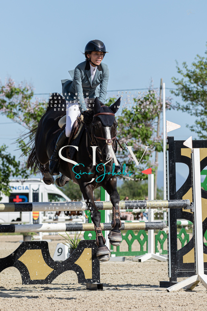 IMG_0816 | s-jay-photography - Realisiert mit Pictrs.com