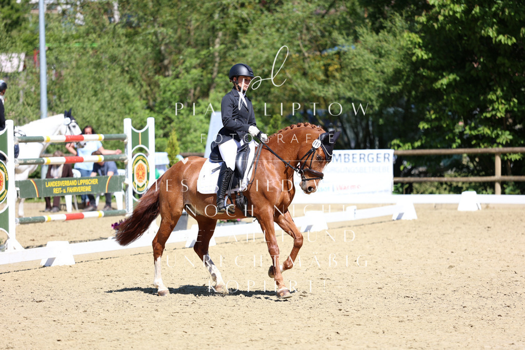 IMGS1435 | pl-fotografie