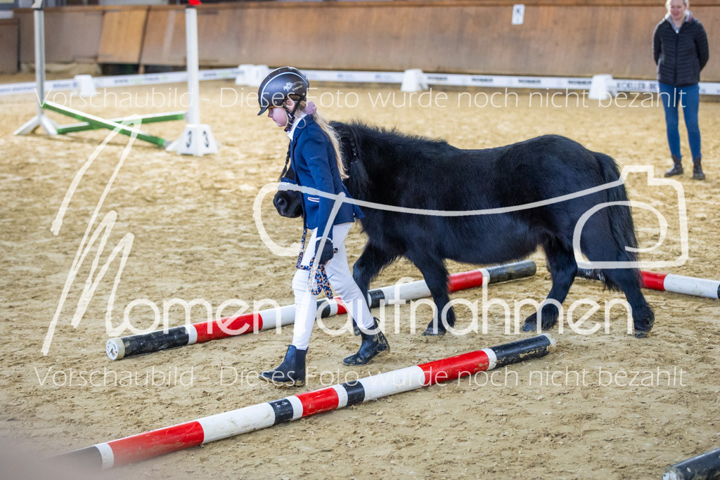 Sth-WBO25-Führ-WB-050 | MomenTaufnahmen Pferdesportfotos