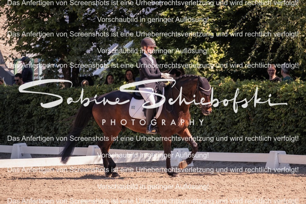 2025_05_31_DSCF3082 | People- und Tierfotografie, Imageaufnahmen, Veranstaltungsfotografie und Wandbilder aus der Natur ★ Made in Germany ✔️ Druck + Downloads ✔️ Naturfotografie in Top Qualität ★ schneller Versand, weltweite Lieferung! - Realisiert mit Pictrs.com