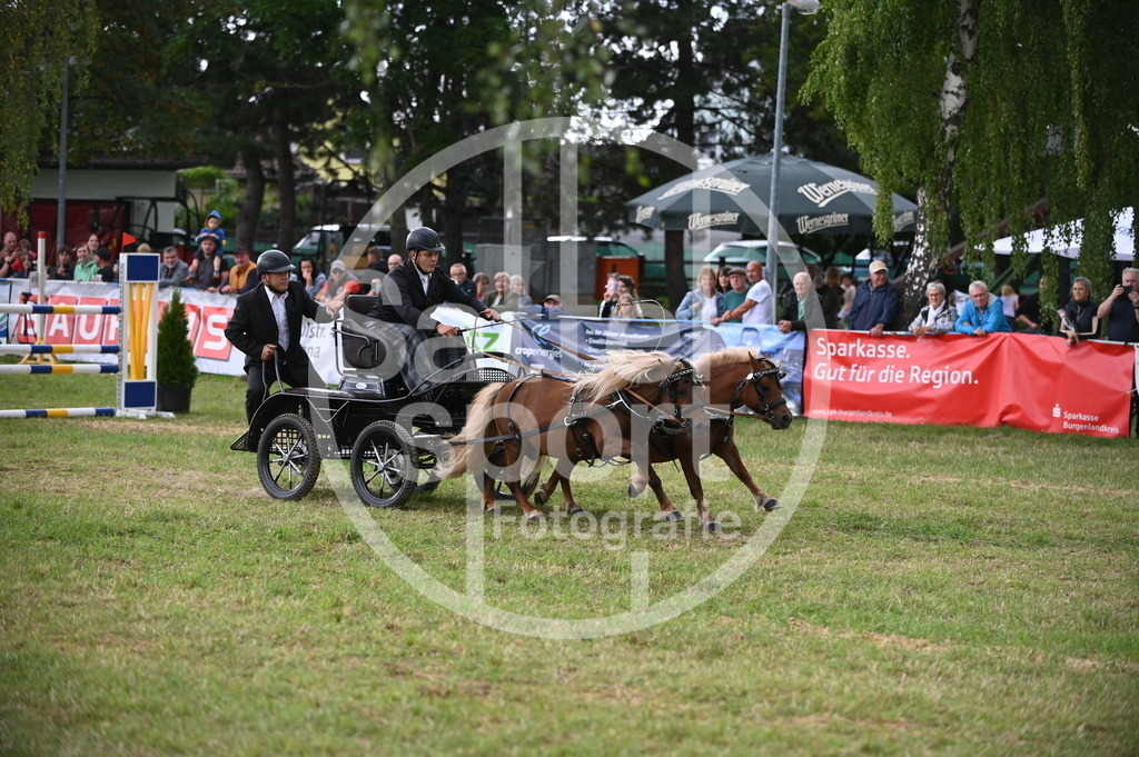 DSC_8557 | sattelsport - Realisiert mit Pictrs.com