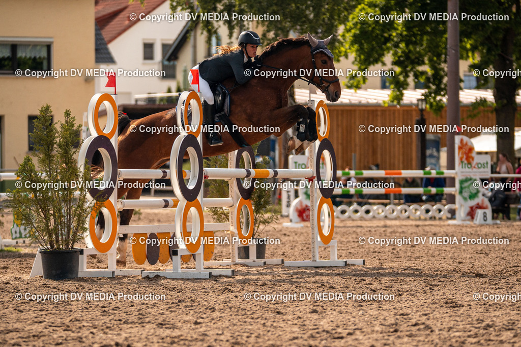 Eppelheim Tag 1-515 | dv-media-shop - Realisiert mit Pictrs.com