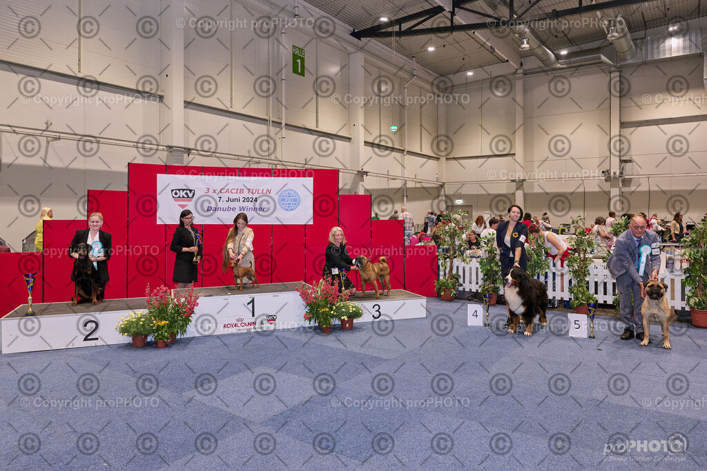 202406_ÖKV-IHA-Tulln24_NZ9_7814 | proPHOTO - Realisiert mit Pictrs.com