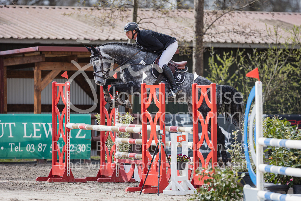 230411_Mühlen_03SprPf-L-455 | Deine schönsten Turniermomente als professionelle Fotos! Entdecke hochwertige Pferdesport-Fotografie im Online-Shop. Jetzt Fotos finden & bestellen!