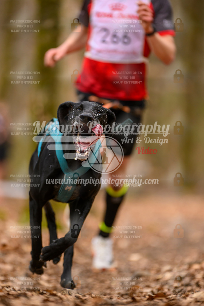MompixPhotography_Habay2025_SA_CCC-11 | PayLife