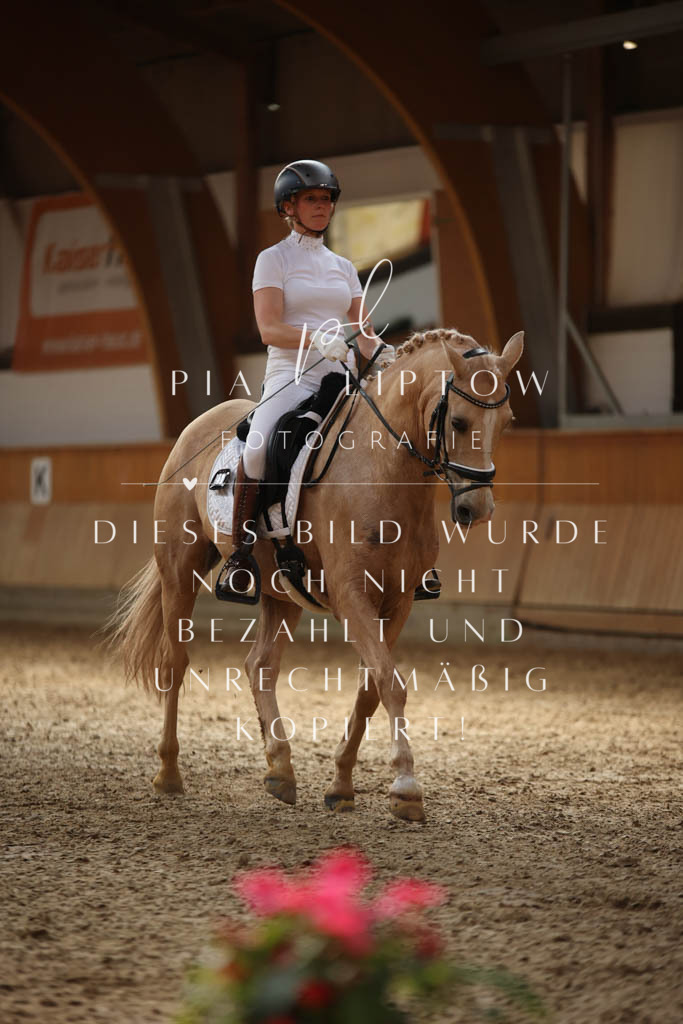 IMGS2888 | pl-fotografie