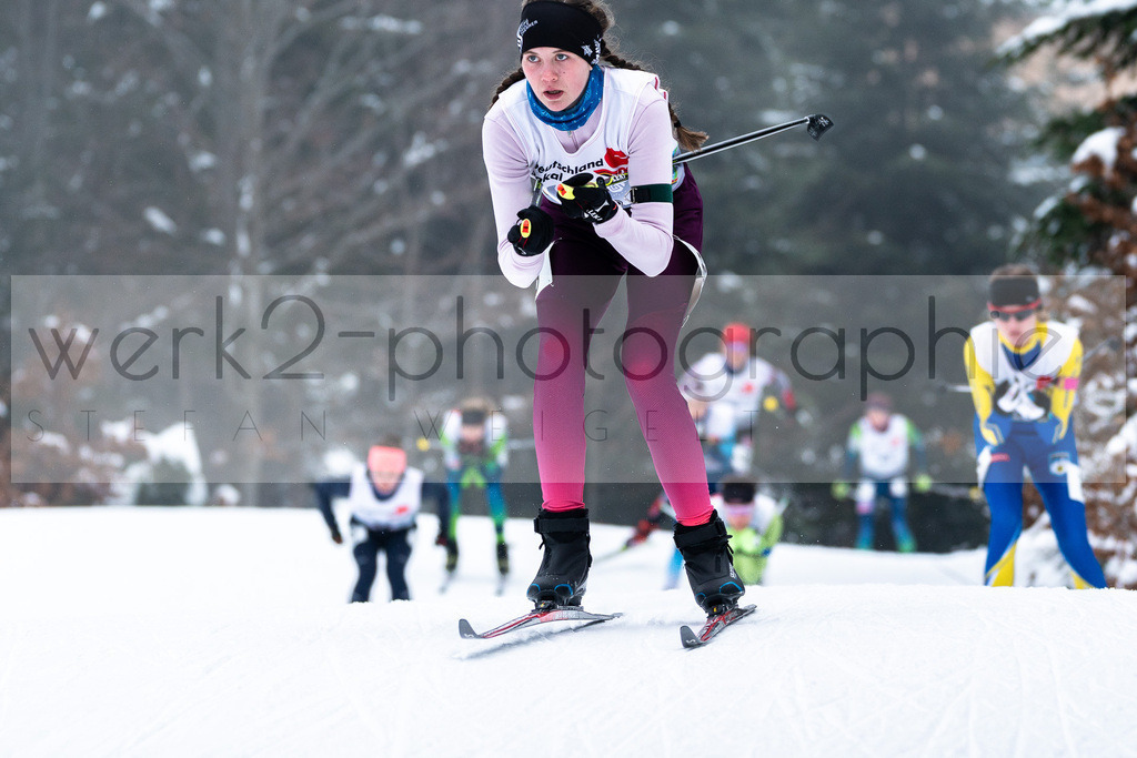DSC Arber | Bayerischer Wald am 15. und 16. Januar 2022