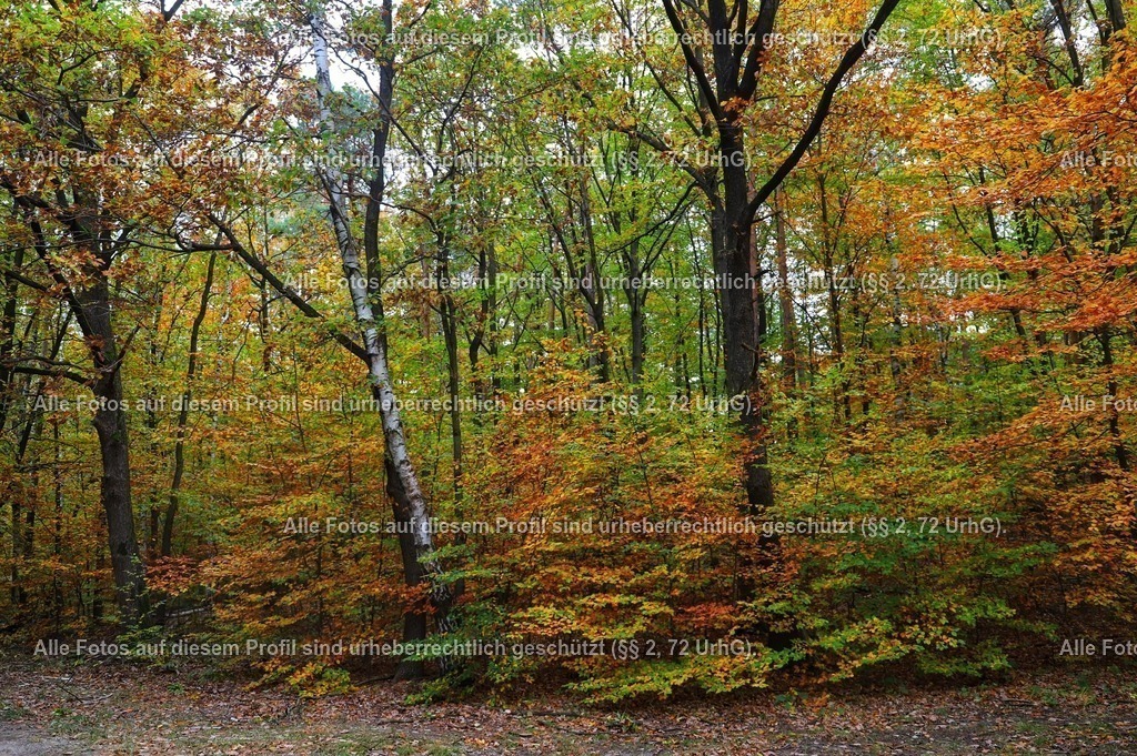 Snapseed(82) | krollfotografie - Realisiert mit Pictrs.com