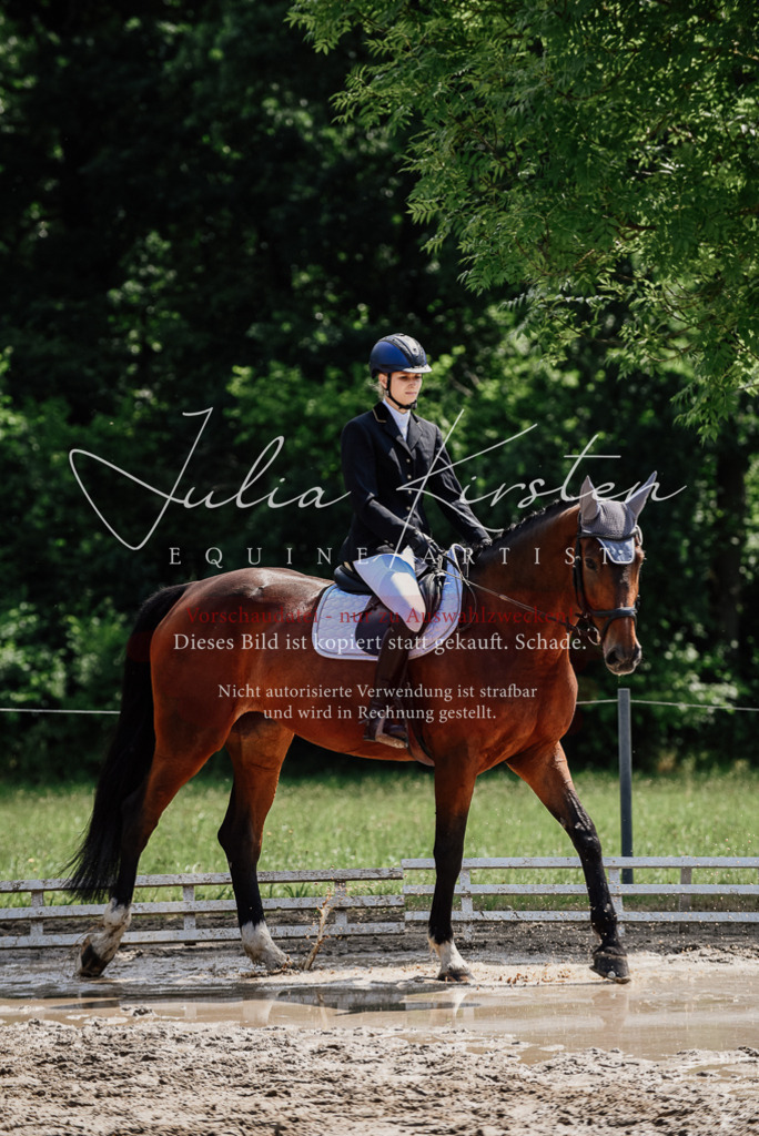DSC_1108 | Pferde- und Turnierfotografie in Westsachsen. Pferdeportraits, Auftragszeichnungen und intuitive Kunst.