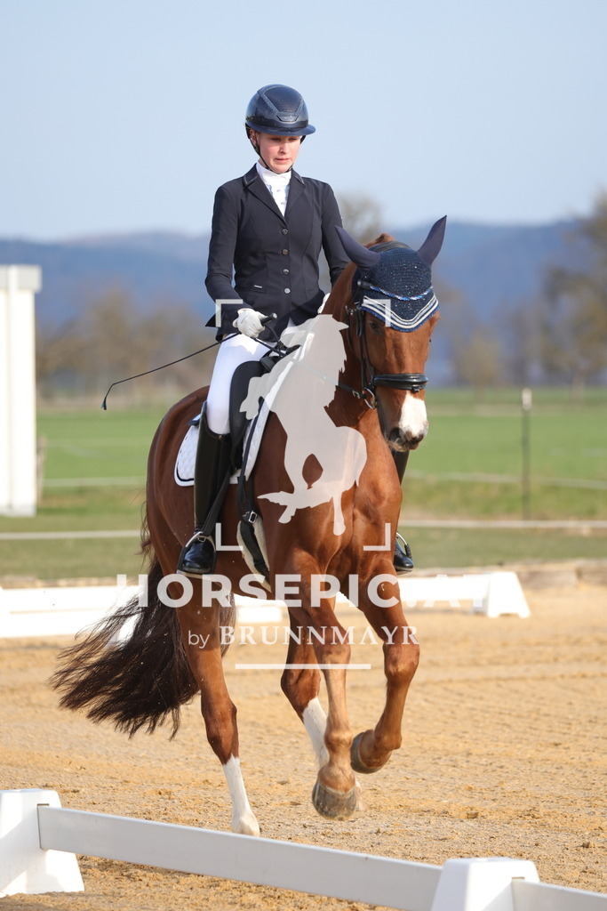 0P6A5938 | Willkommen bei Brunnmayr - Design & Fotografie – Ihrem Spezialisten für Reitturniere und Pferdeveranstaltungen in Oberösterreich, Salzburg und Bayern! Seit über 17 Jahren sind wir leidenschaftlich dabei.